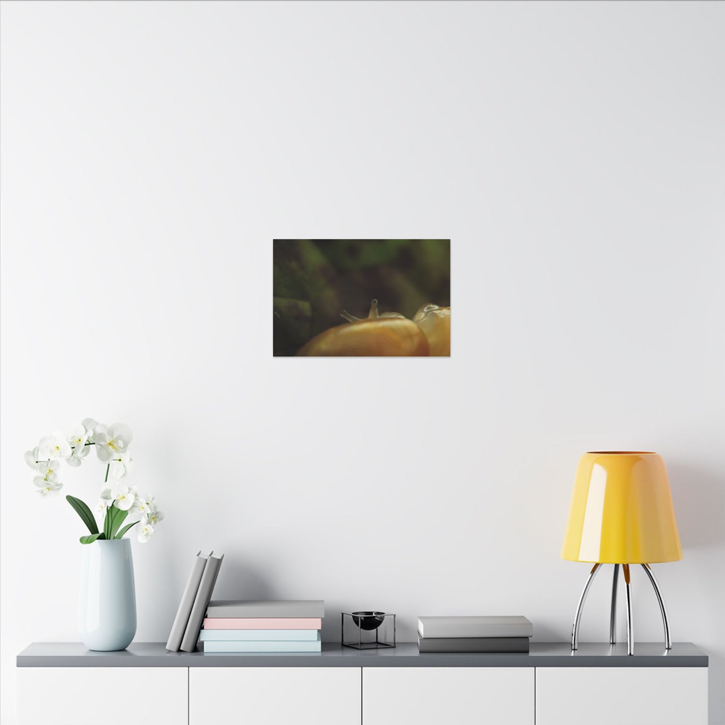 Snail Macro Photography Matte Canvas