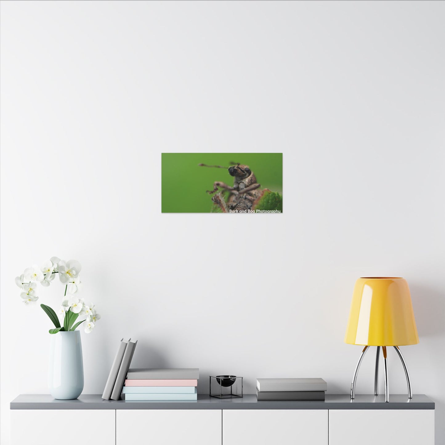 Weevil Macro Wall Art, Nature Decor for Bug Lovers, Green Background, Home Decor, Unique Gifts, Eco-Friendly Art