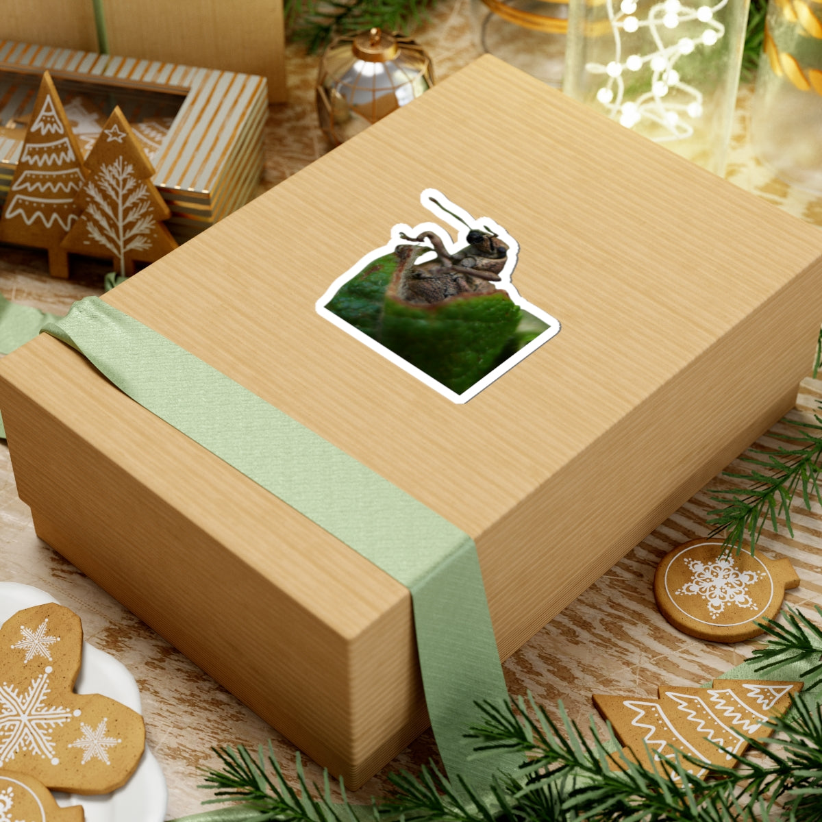 Weevil wrapped in Leaf Sticker | Kiss-Cut Insect Sticker