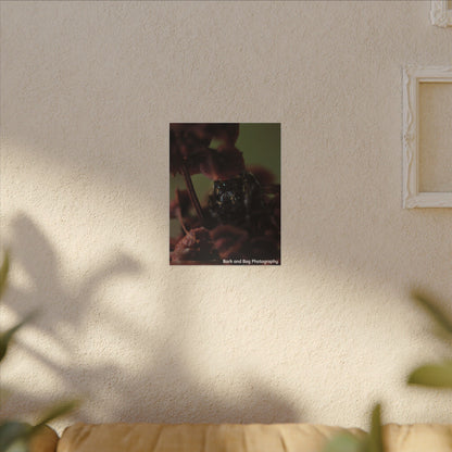 Macro Jumping Spider on Red Flowers Canvas | Matte Stretched Wall Art VERTICAL