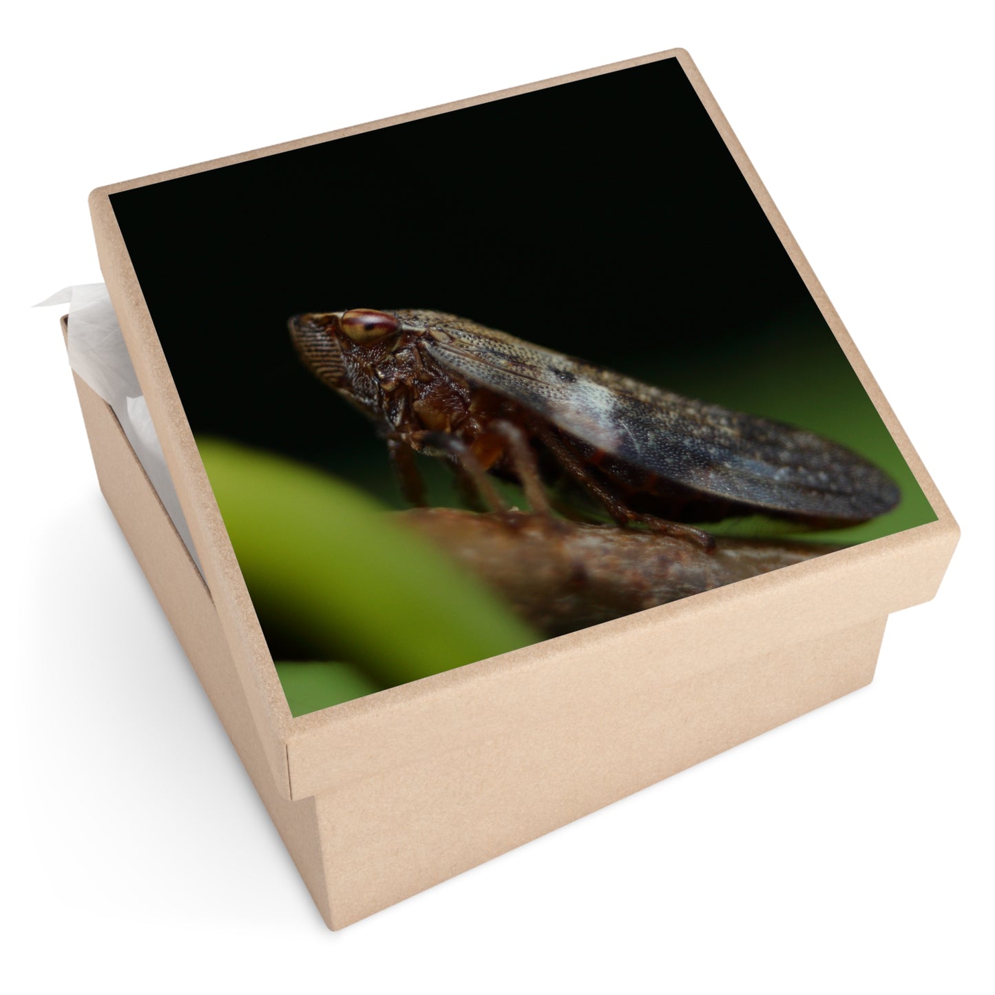 Treehopper insect close-up Square Vinyl Sticker | macro bug photography