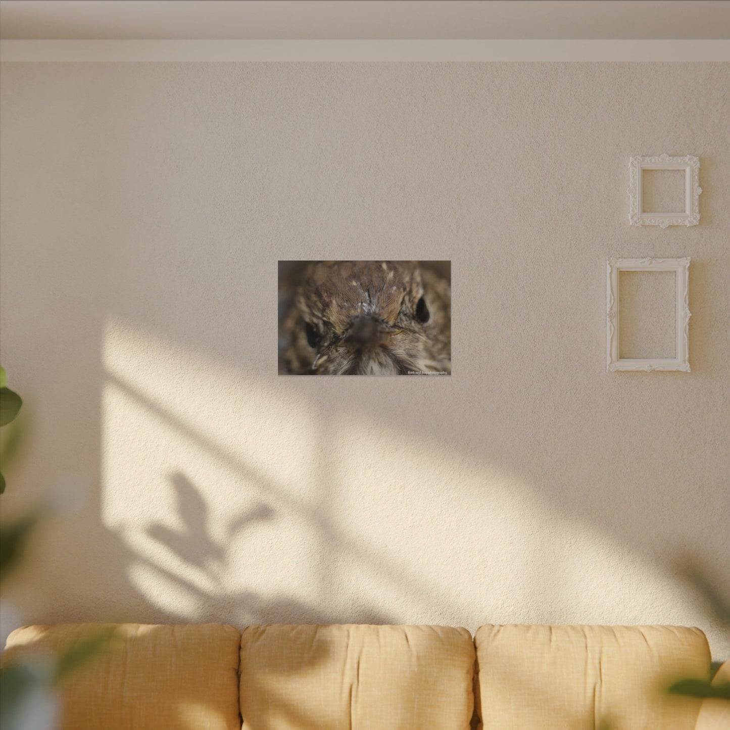 Close-Up Hermit Thrush Face canvas | Matte Stretched Canvas Wall Art