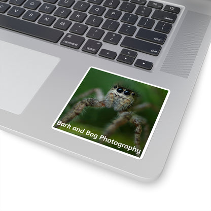 Jumping Spider Photo Square Sticker | Bark and Bog Photography