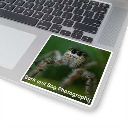 Jumping Spider Photo Square Sticker | Bark and Bog Photography