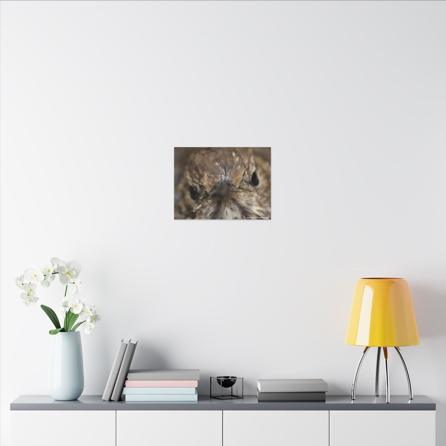 Close-Up Hermit Thrush Face canvas | Matte Stretched Canvas Wall Art