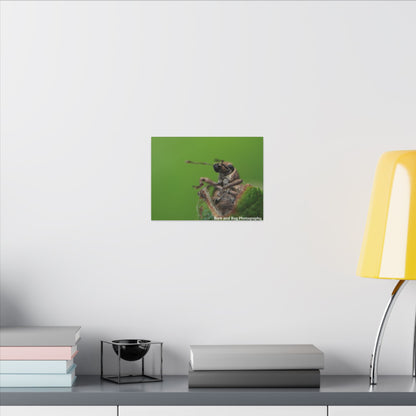 Weevil Macro Wall Art, Nature Decor for Bug Lovers, Green Background, Home Decor, Unique Gifts, Eco-Friendly Art