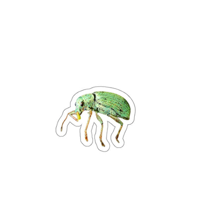 Cute Weevil Die-Cut Stickers, Entomology Bug Insect Decals, Laptop Decor, Scrapbook Supplies, Nature Lover Gift
