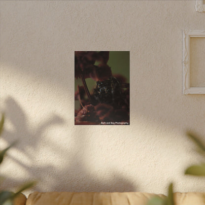 Macro Jumping Spider on Red Flowers Canvas | Matte Stretched Wall Art VERTICAL