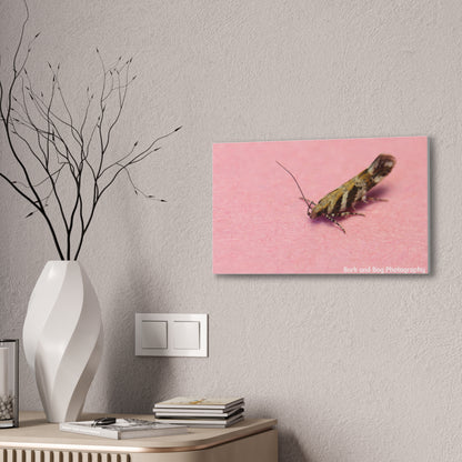 Insect Wall Art, Canvas Print, Unique Home Decor, Nature Lover Gift, Minimalist Artwork, Bug Photography