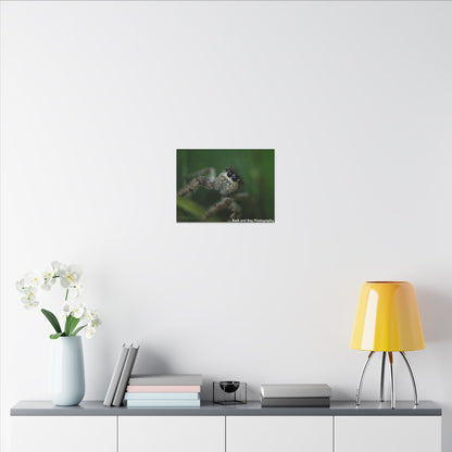 Nature-Inspired Spider Canvas Art, Unique Wall Decor, Home Aesthetic, Bug Lover's Gift, Greenery Design, Insect Wall Art, Eco-Friendly Decor