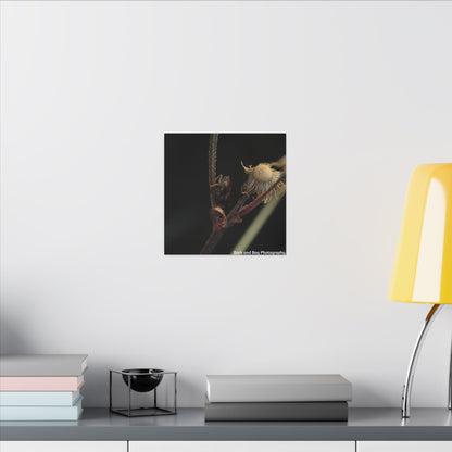 Tree Hopper Macro Canvas