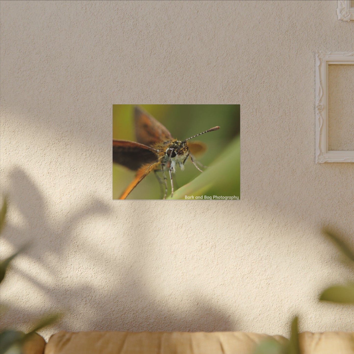 Butterfly Canvas Art, Nature Wall Decor, Insect Home Decoration, Unique Gift, Floral Room Accent