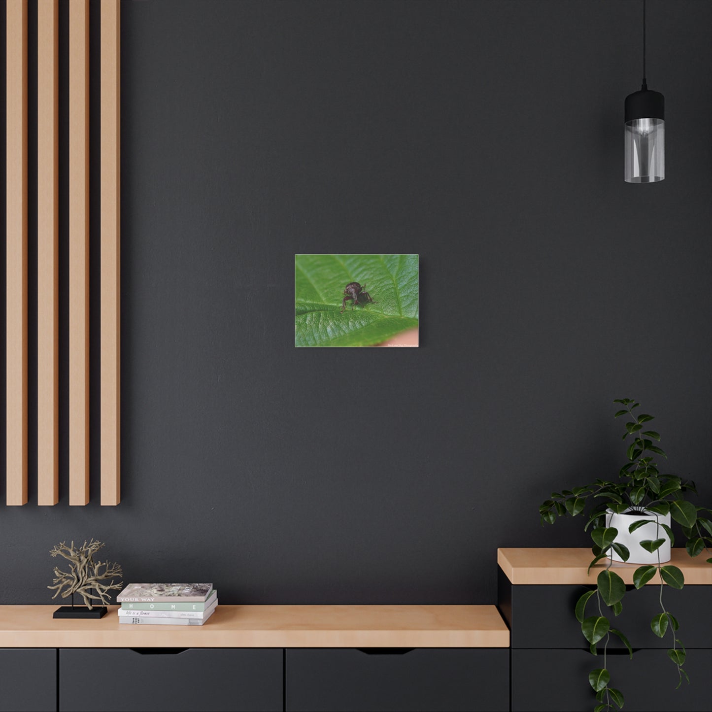 Weevil on Green Leaf Matte Canvas Print — Macro Insect Wall Art, Stretched 1.25"