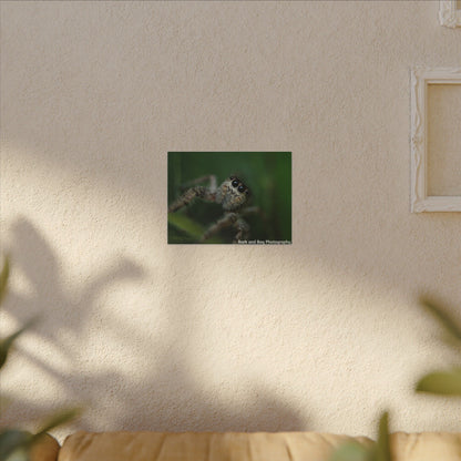 Nature-Inspired Spider Canvas Art, Unique Wall Decor, Home Aesthetic, Bug Lover's Gift, Greenery Design, Insect Wall Art, Eco-Friendly Decor