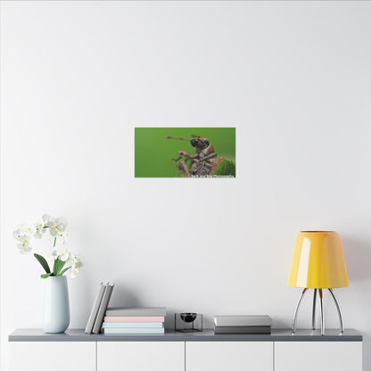 Weevil Macro Wall Art, Nature Decor for Bug Lovers, Green Background, Home Decor, Unique Gifts, Eco-Friendly Art