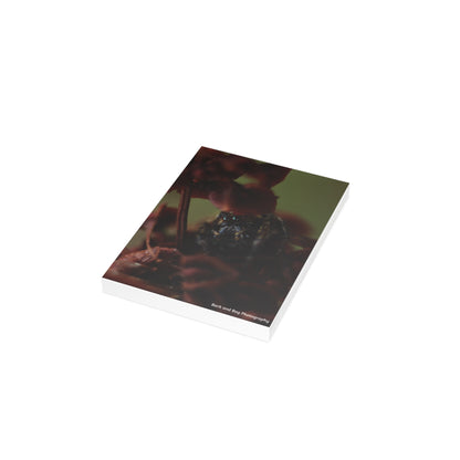 Jumping Spider Postcard Bundle | Envelopes Included
