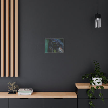 Turtle Eye Macro Matte Canvas Print — Close-Up Wall Art