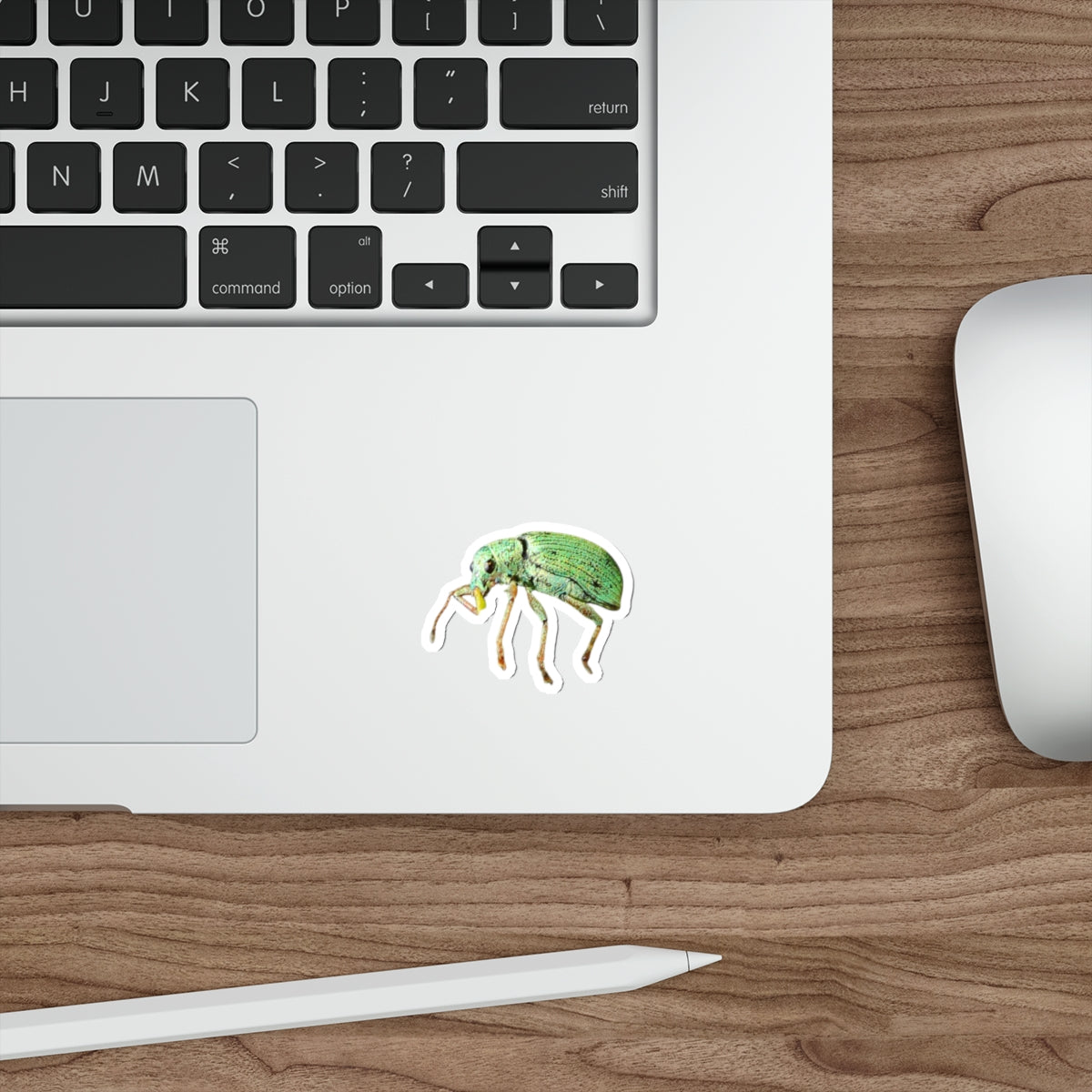 Cute Weevil Die-Cut Stickers, Entomology Bug Insect Decals, Laptop Decor, Scrapbook Supplies, Nature Lover Gift