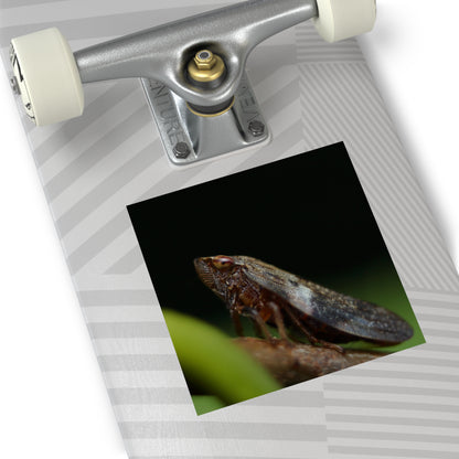 Treehopper insect close-up Square Vinyl Sticker | macro bug photography