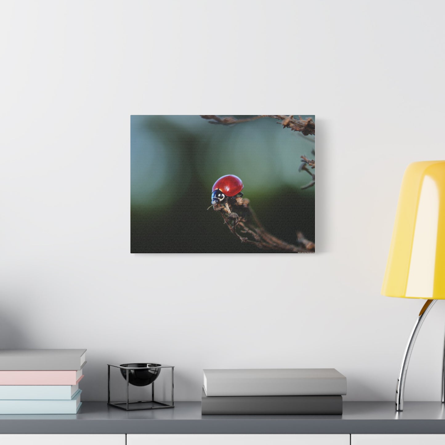 Ladybug Macro Canvas Print — Stretched Matte Wall Art