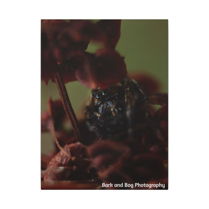 Macro Jumping Spider on Red Flowers Canvas | Matte Stretched Wall Art VERTICAL