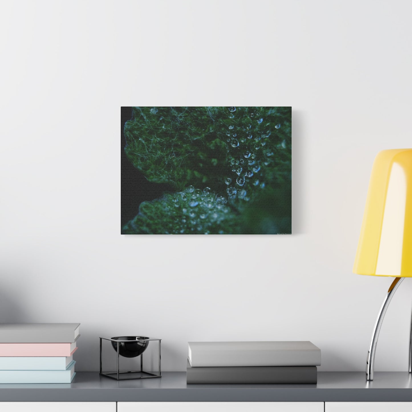 Dew-Kissed Leaf Matte Canvas Wall Art — Stretched 1.25"