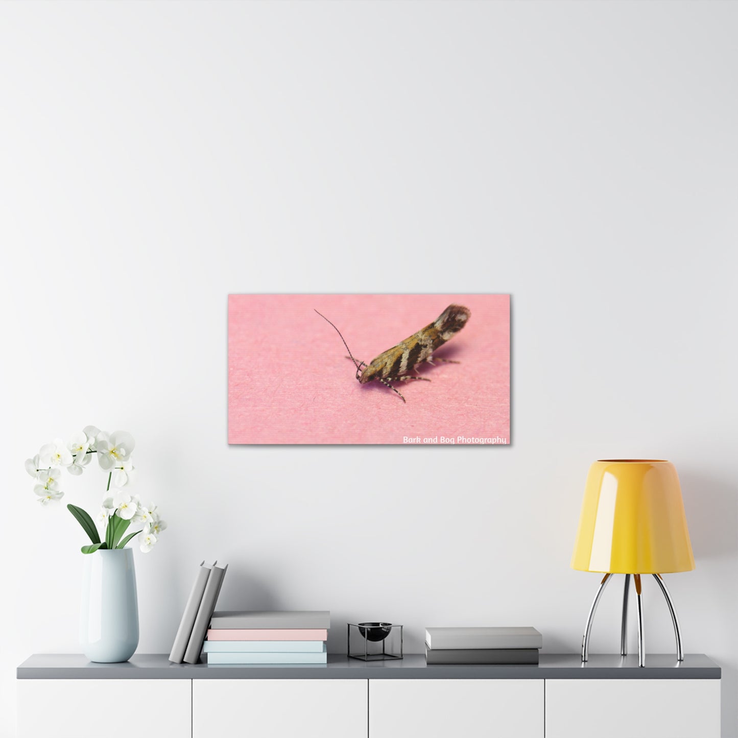 Insect Wall Art, Canvas Print, Unique Home Decor, Nature Lover Gift, Minimalist Artwork, Bug Photography
