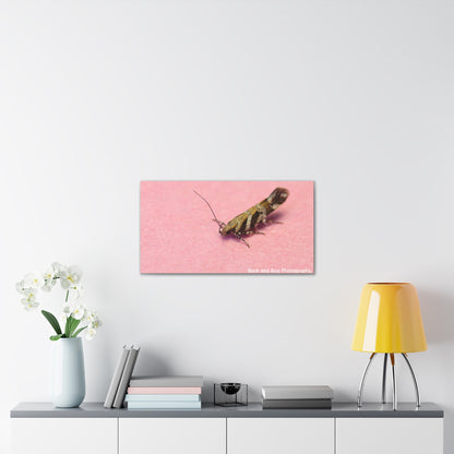 Insect Wall Art, Canvas Print, Unique Home Decor, Nature Lover Gift, Minimalist Artwork, Bug Photography