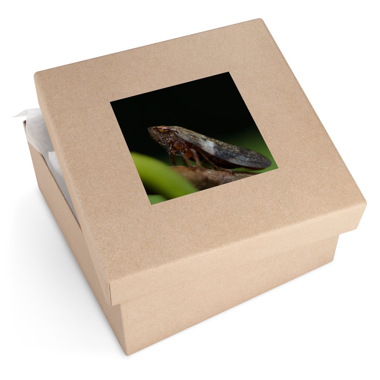 Treehopper insect close-up Square Vinyl Sticker | macro bug photography