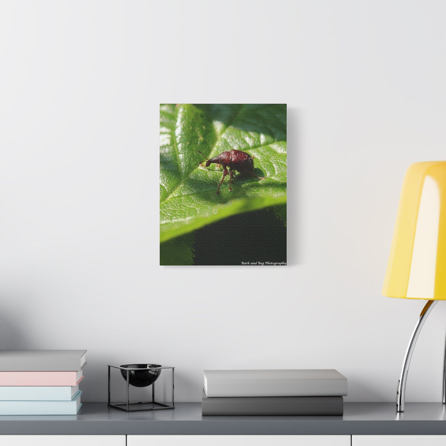 Weevil on Leaf Matte Stretched Canvas Wall Art