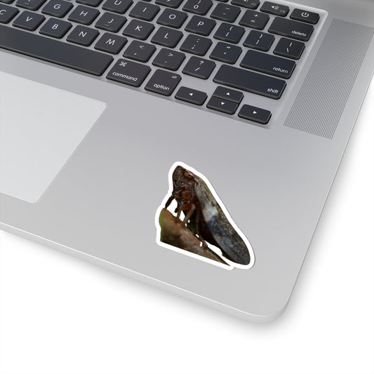 Leafhopper Illustration Kiss-Cut Sticker | Insect Laptop Decal