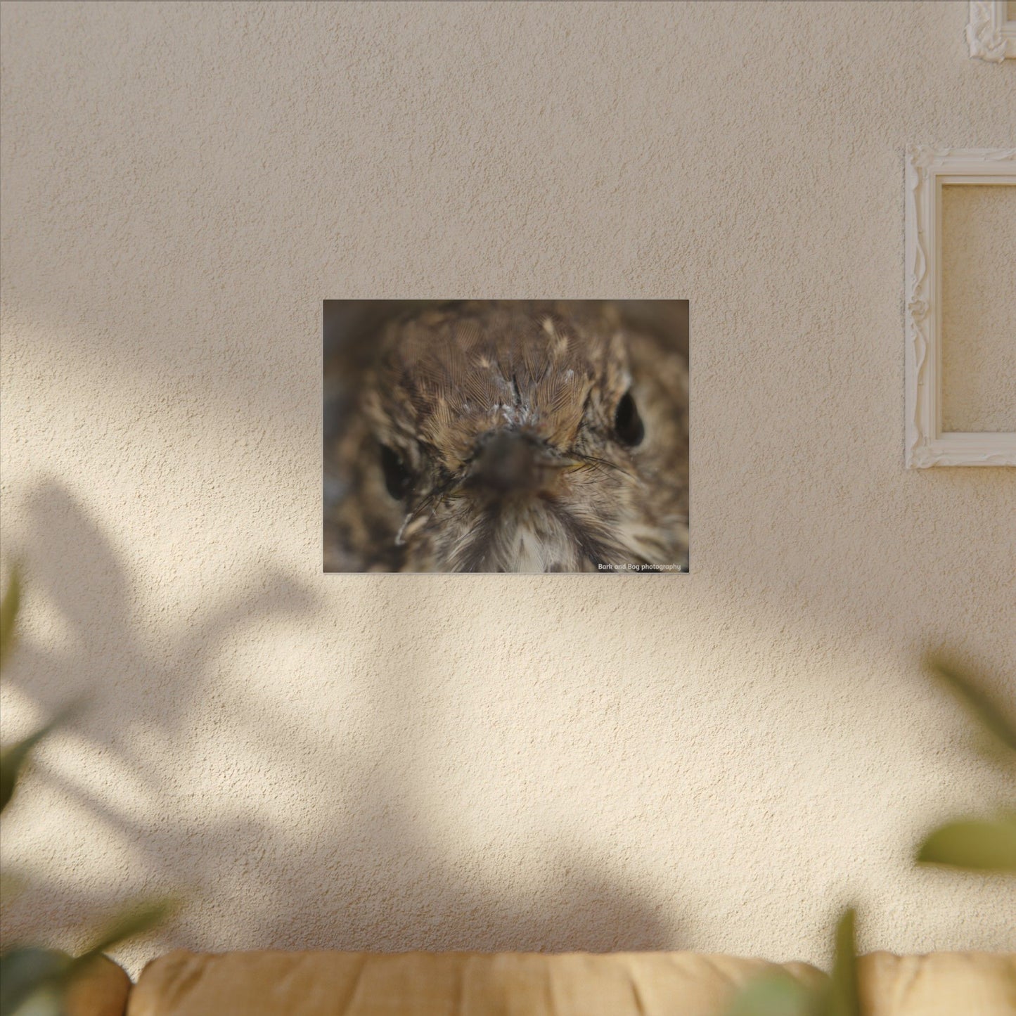 Close-Up Hermit Thrush Face canvas | Matte Stretched Canvas Wall Art