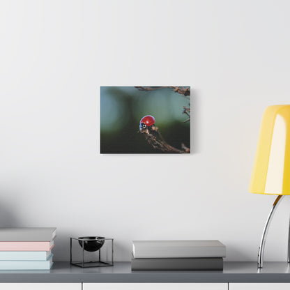 Ladybug Macro Canvas Print — Stretched Matte Wall Art