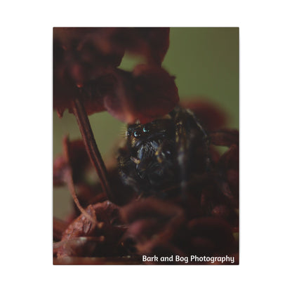 Macro Jumping Spider on Red Flowers Canvas | Matte Stretched Wall Art VERTICAL