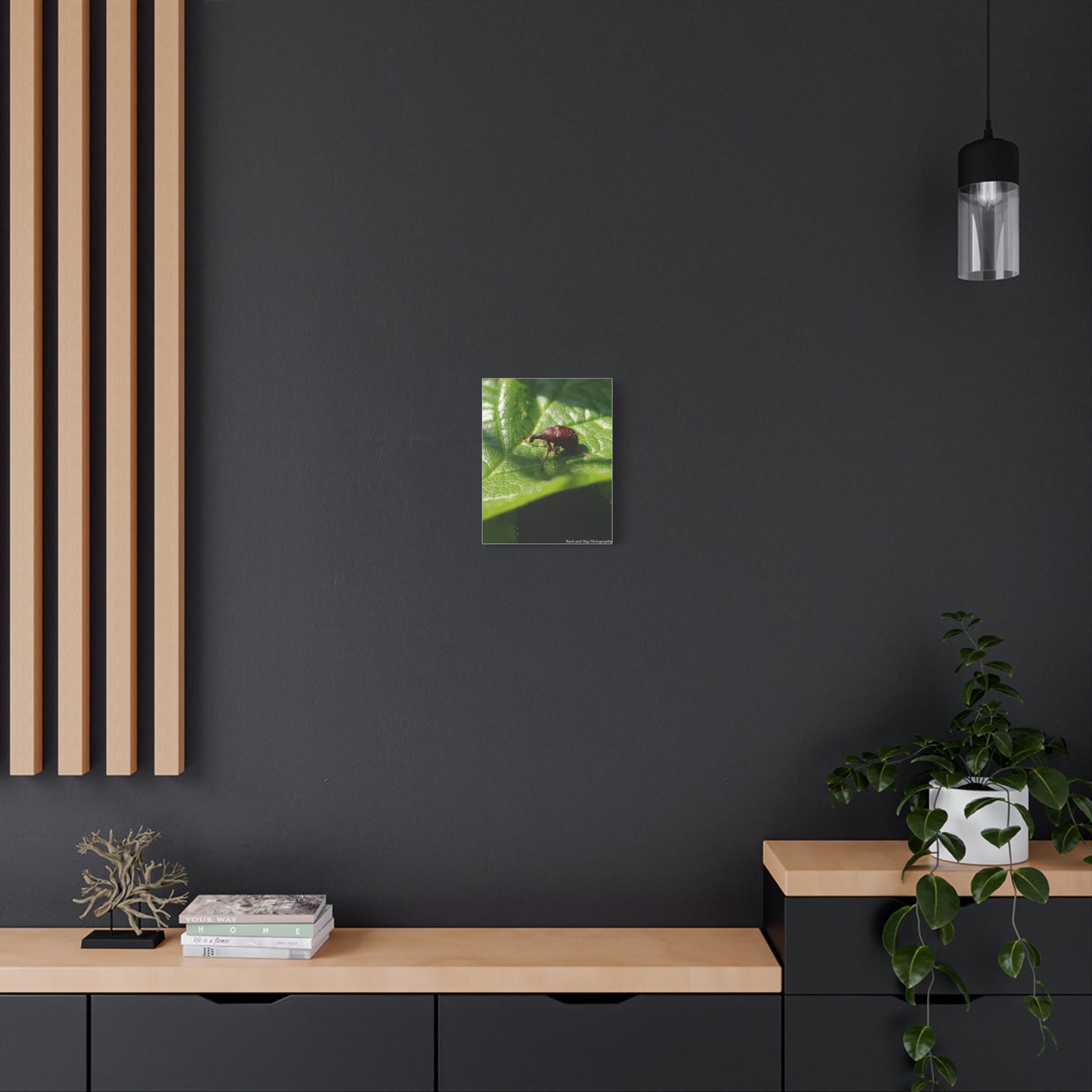 Weevil on Leaf Matte Stretched Canvas Wall Art