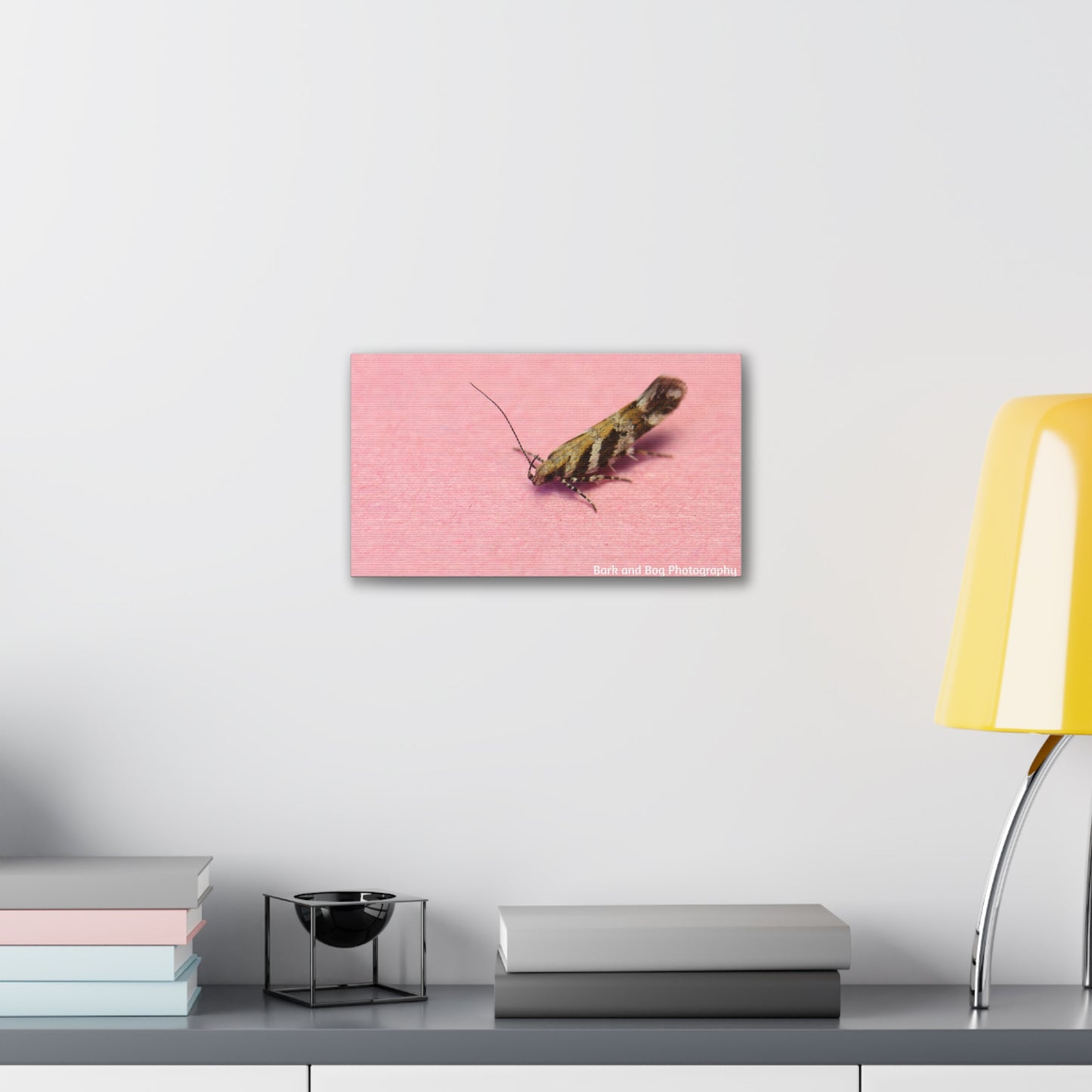 Insect Wall Art, Canvas Print, Unique Home Decor, Nature Lover Gift, Minimalist Artwork, Bug Photography