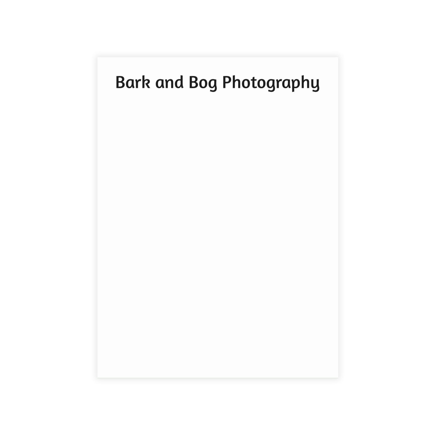 Jumping Spider Postcard Bundle | Envelopes Included