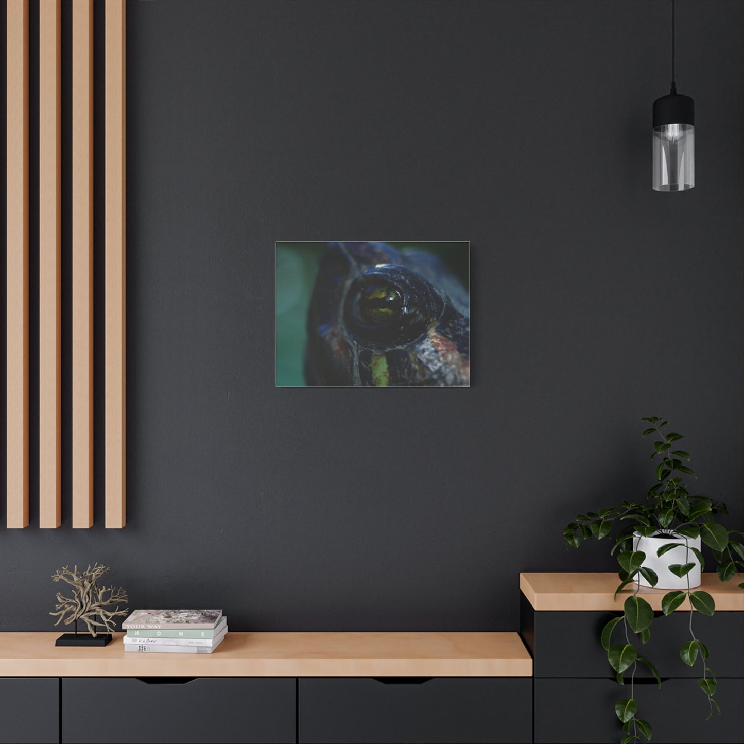 Turtle Eye Macro Matte Canvas Print — Close-Up Wall Art