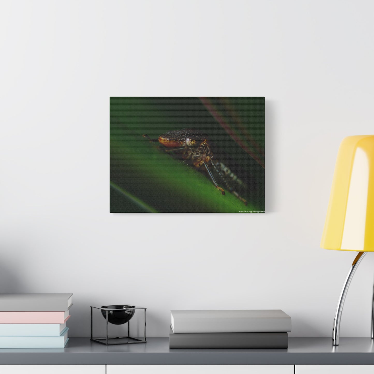 Leaf Hopper Macro Canvas Print — Insect Photography Wall Art