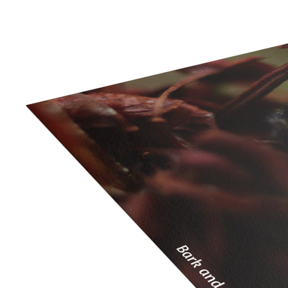 Jumping Spider Postcard Bundle | Envelopes Included