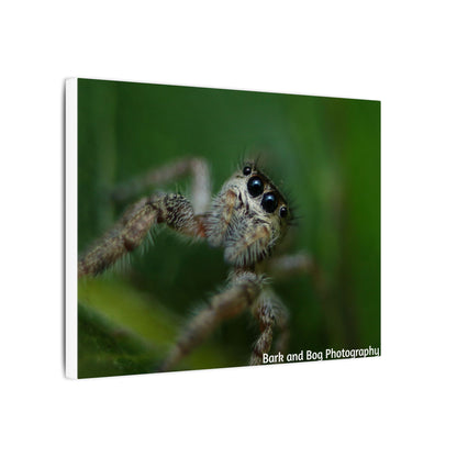 Nature-Inspired Spider Canvas Art, Unique Wall Decor, Home Aesthetic, Bug Lover's Gift, Greenery Design, Insect Wall Art, Eco-Friendly Decor