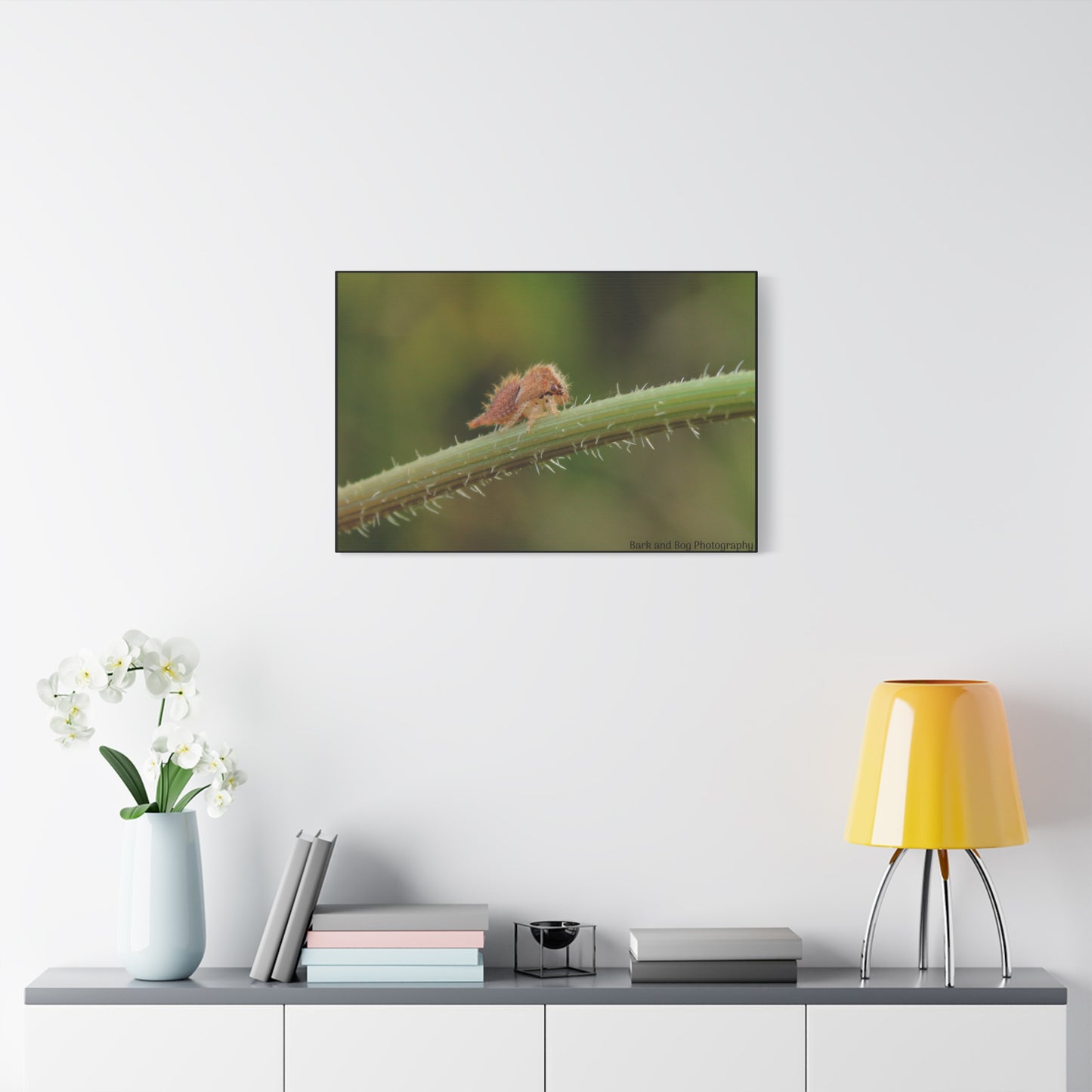Canvas Print, Buffalo Treehopper Nymph, Matte Wall Art, Stretched Canvas, Nature Print, Wildlife Decor