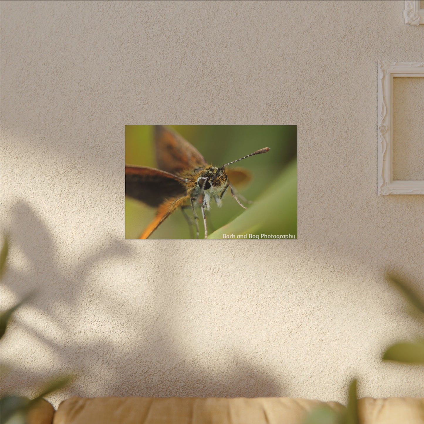 Butterfly Canvas Art, Nature Wall Decor, Insect Home Decoration, Unique Gift, Floral Room Accent