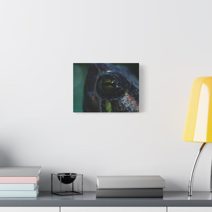 Turtle Eye Macro Matte Canvas Print — Close-Up Wall Art