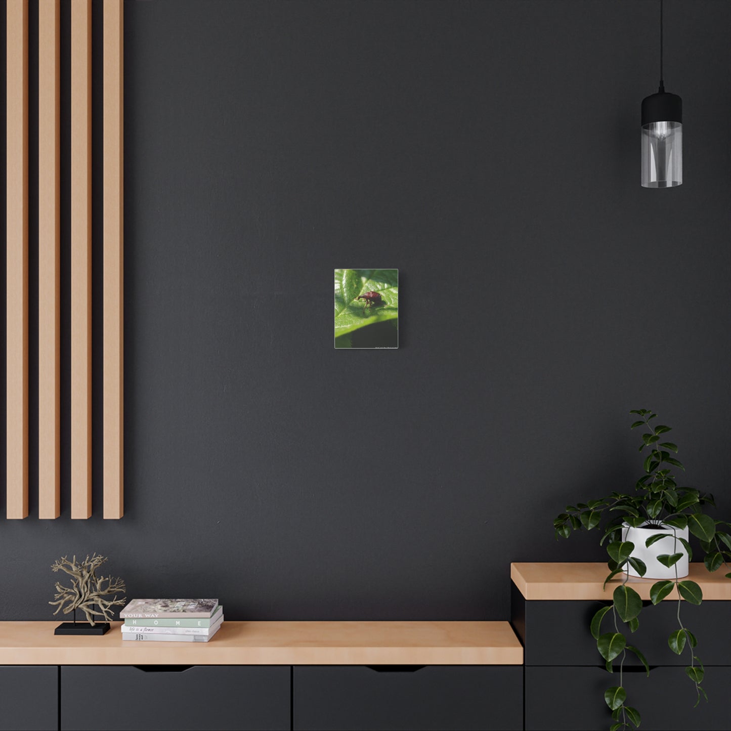 Weevil on Leaf Matte Stretched Canvas Wall Art