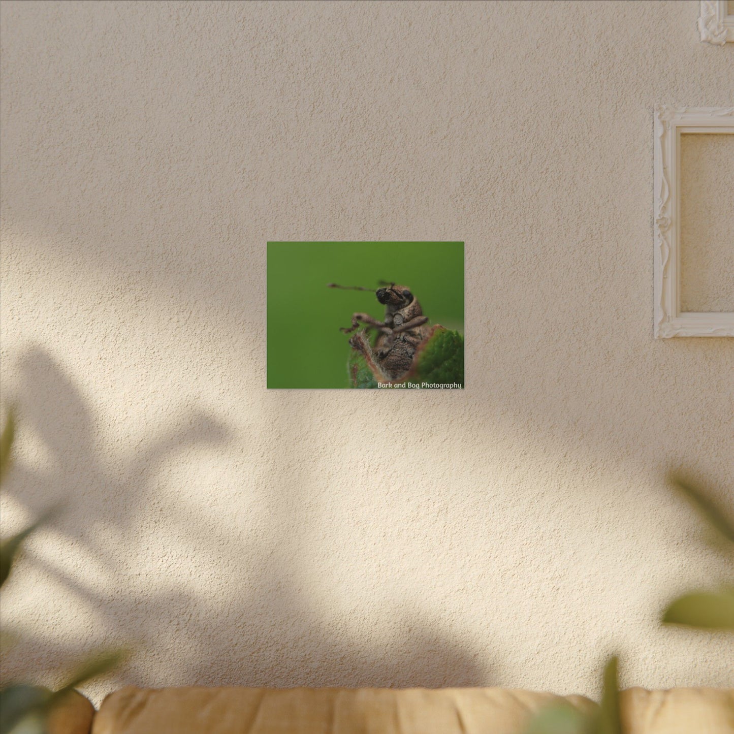 Weevil Macro Wall Art, Nature Decor for Bug Lovers, Green Background, Home Decor, Unique Gifts, Eco-Friendly Art