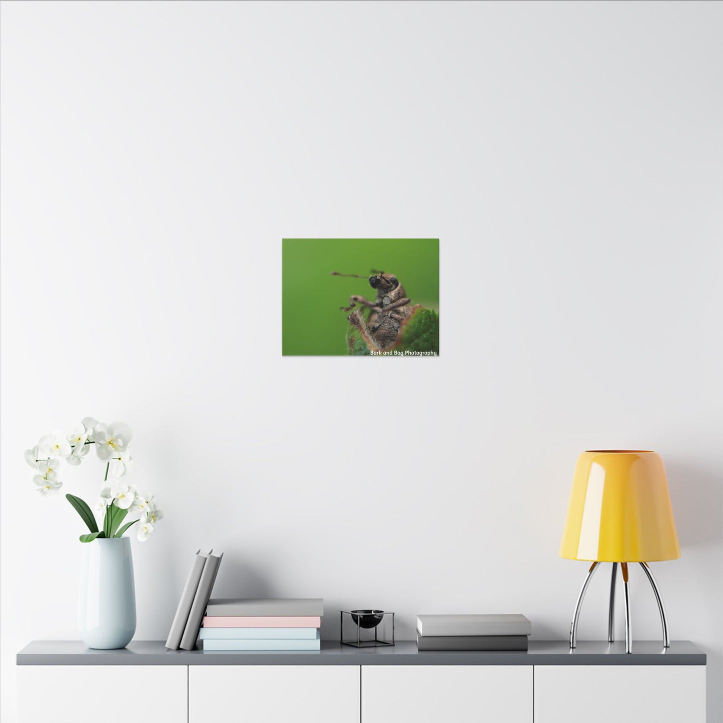 Weevil Macro Wall Art, Nature Decor for Bug Lovers, Green Background, Home Decor, Unique Gifts, Eco-Friendly Art