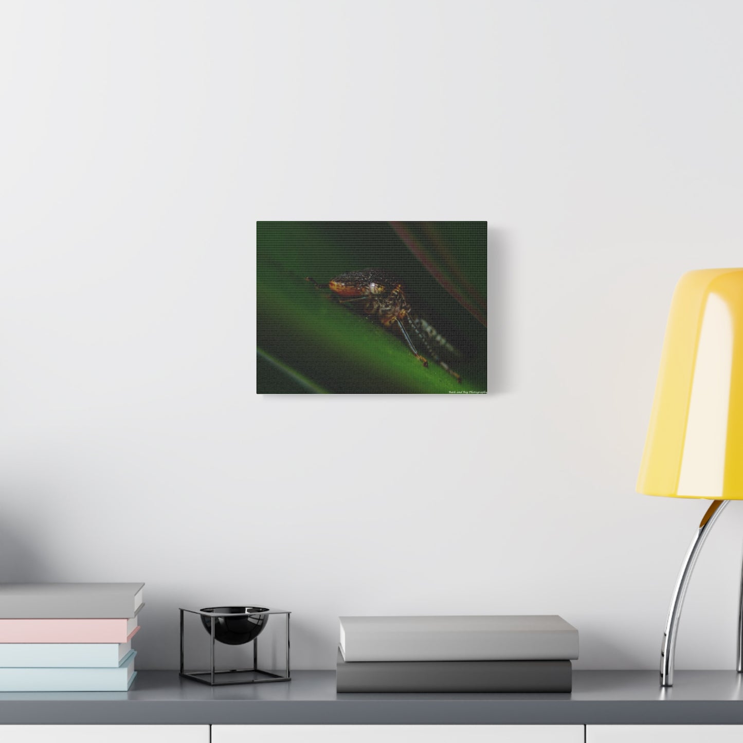 Leaf Hopper Macro Canvas Print — Insect Photography Wall Art