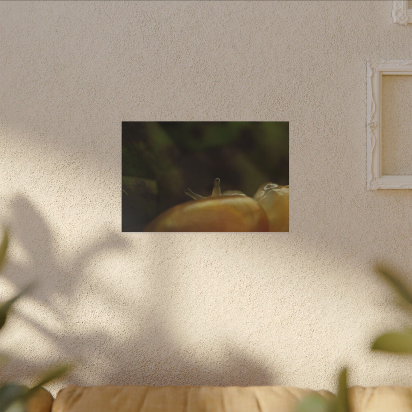 Snail Macro Photography Matte Canvas