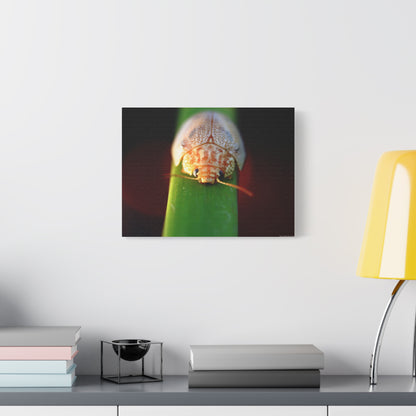 Bug Macro Canvas Print — Close-Up Beetle Photography Wall Art